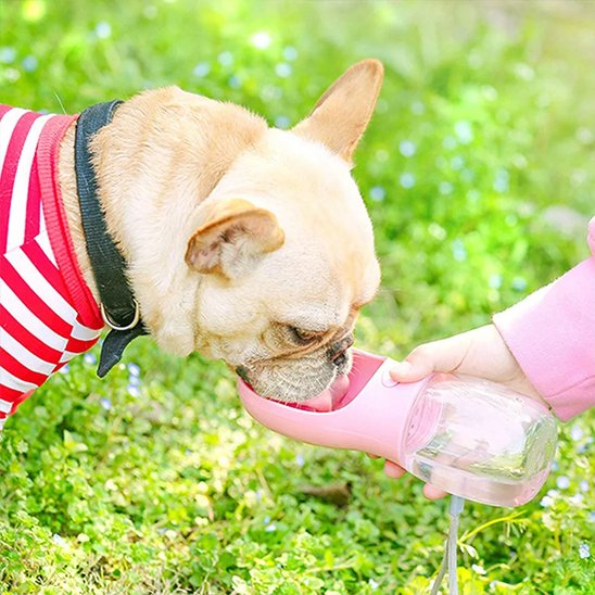 Gourde pour chien pour promenade rose