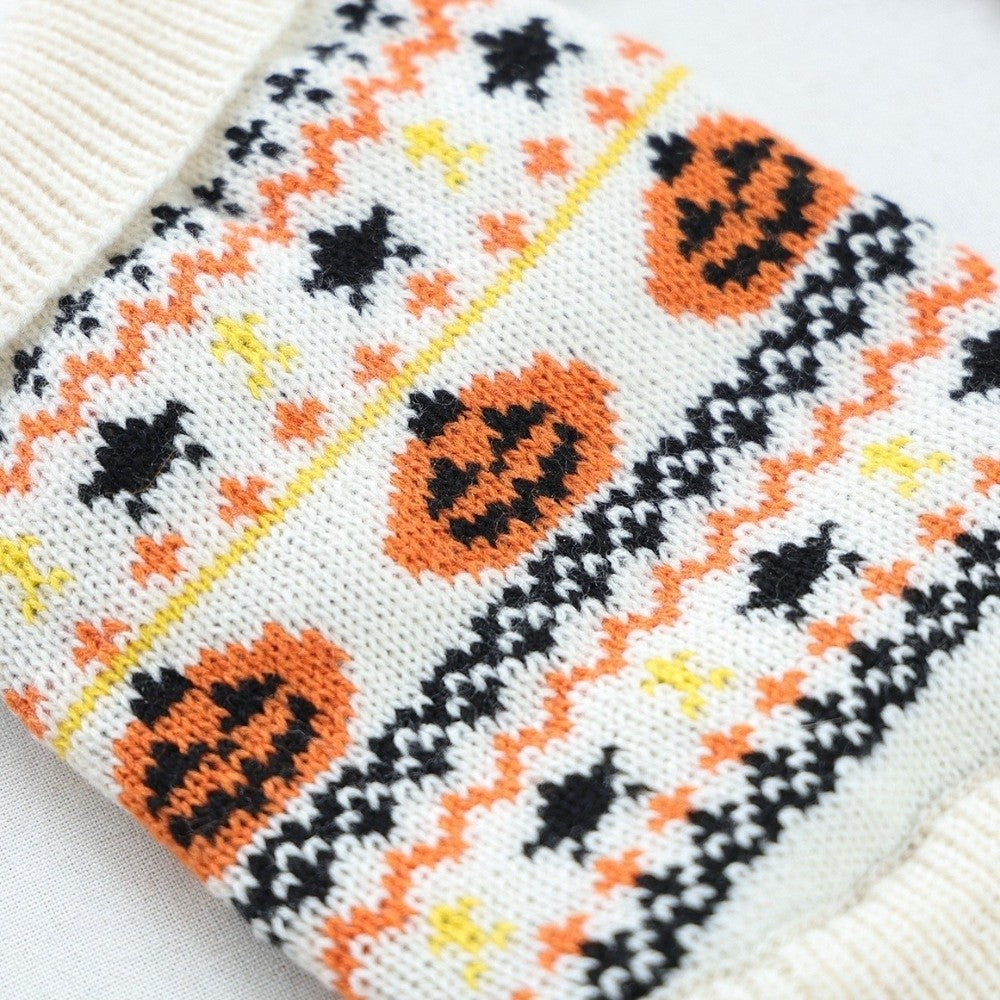 Gros plan du tricot doux et du motif citrouille du pull pour chien