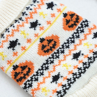 Gros plan du tricot doux et du motif citrouille du pull pour chien