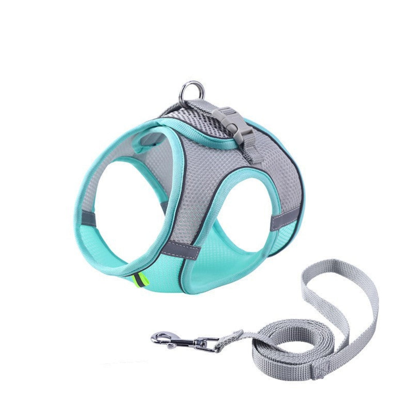 harnais anti fugue pour chiot en bleu turquois