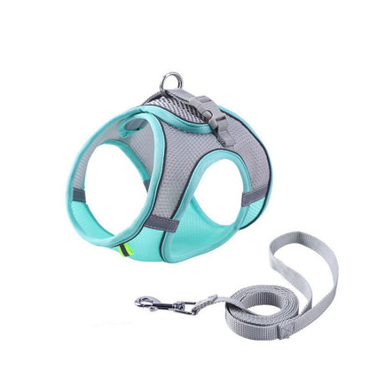 harnais anti fugue pour chiot en bleu turquois