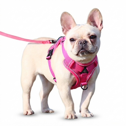harnais anti traction chien PullEase en rose