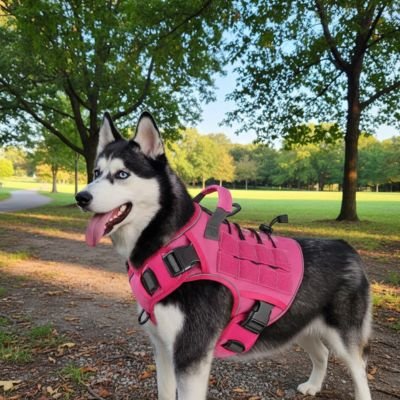 Harnais anti traction pour chien en couleur rose rouge