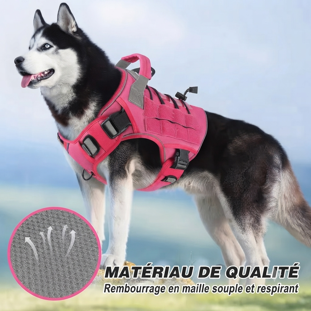 harnais anti traction pour chien outdoor mesh respirante souple