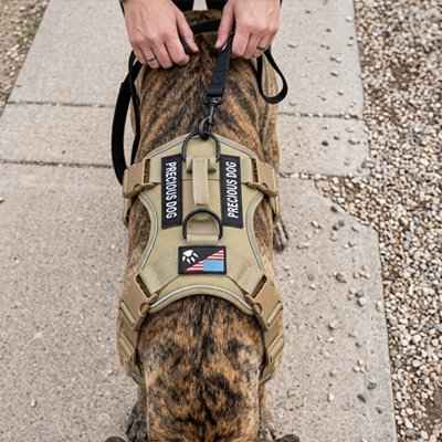 Harnais anti traction pour chien robuste boucle solide