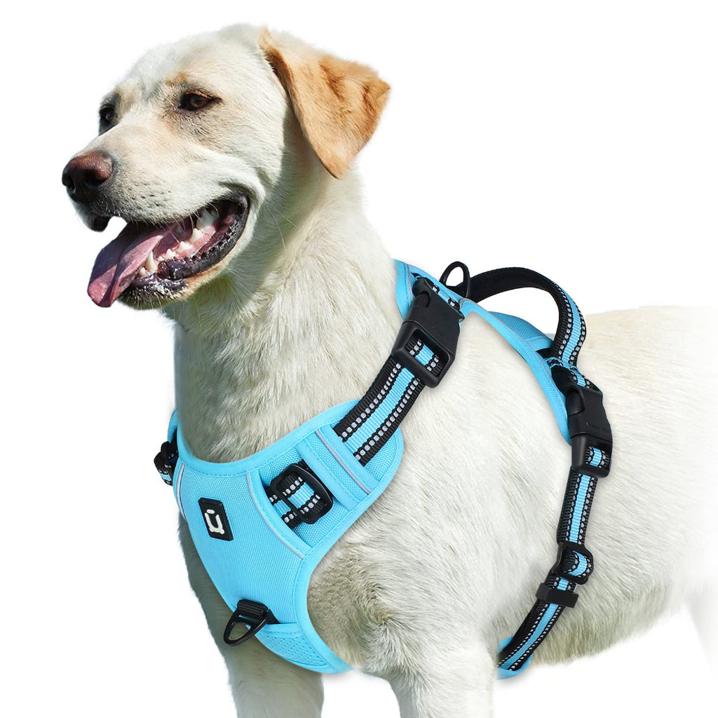 harnais chien anti traction clip frontal en bleu