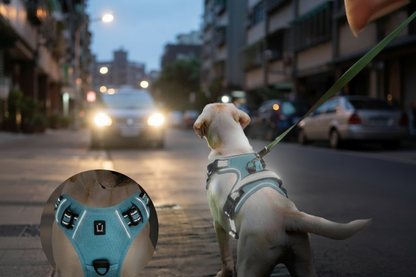 harnais chien anti traction clip frontal visibilité en soirée