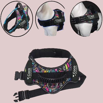 harnais chien clips rapide sangle ajustable