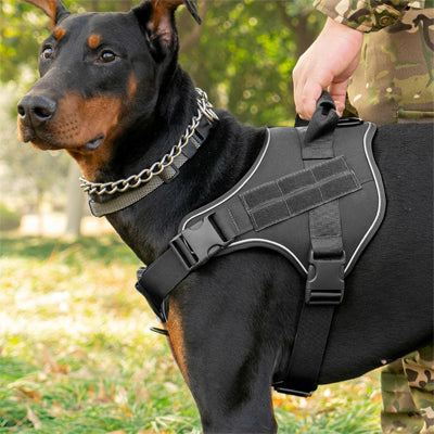 harnais chien gilet noir