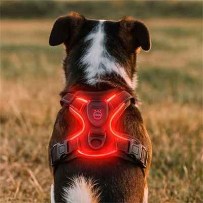 Harnais chien | LED Confort Anti Traction