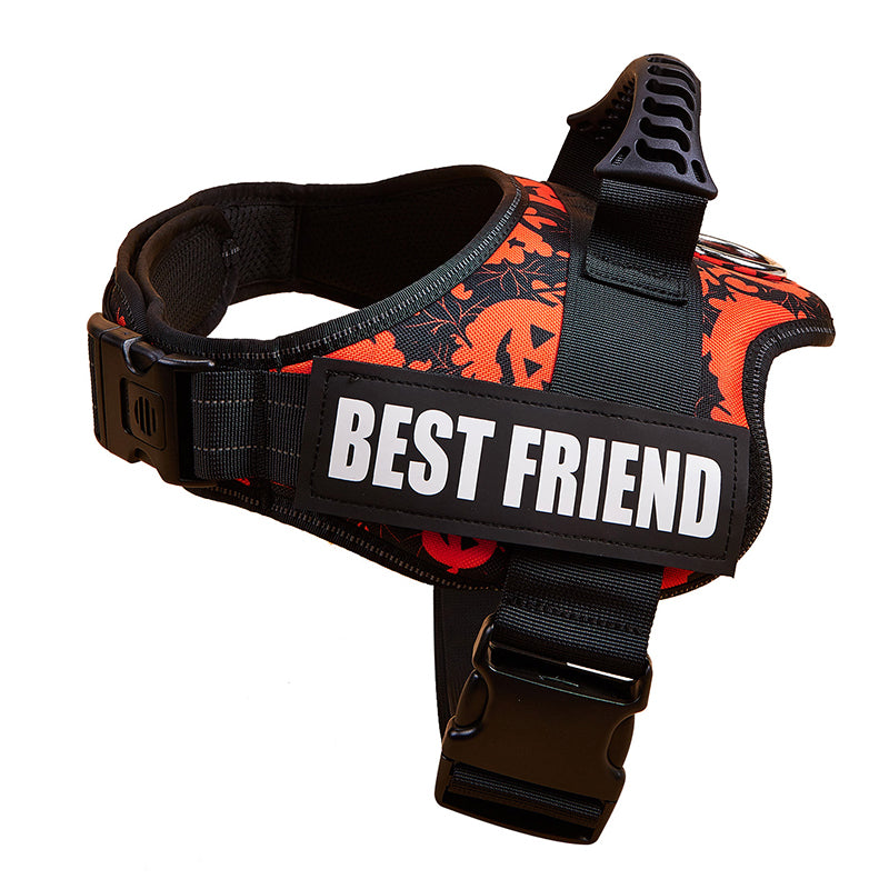 harnais chien robuste tactique motif citrouille