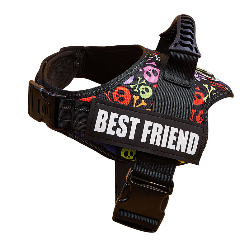 harnais chien robuste tactique motif crane halloween