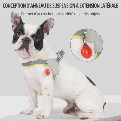 harnais chien sangle poitrine avec anneau de suspension