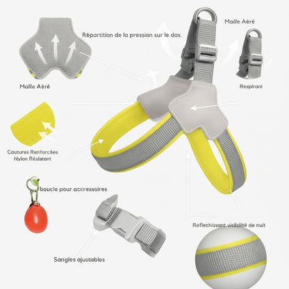 harnais chien sangle poitrine details des caracteristiques