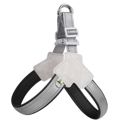 harnais chien sangle poitrine en gris