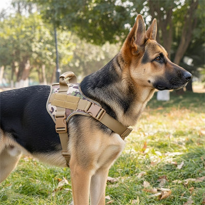 harnais chien securitaire jaune