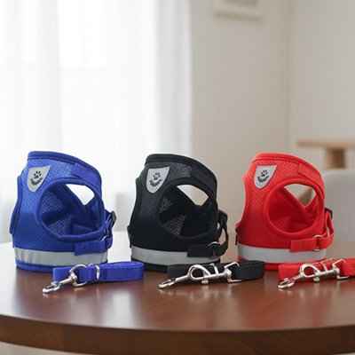 Harnais chien zenwalk avec laisse
