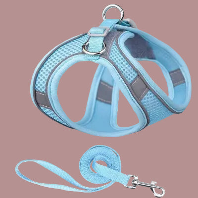 harnais chiot avec laisse en bleu