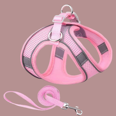 harnais chiot avec laisse en couleur rose