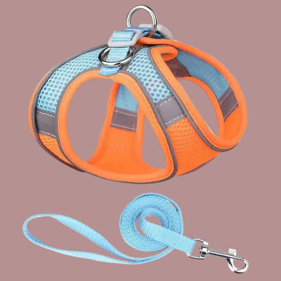 harnais chiot avec laisse en orange