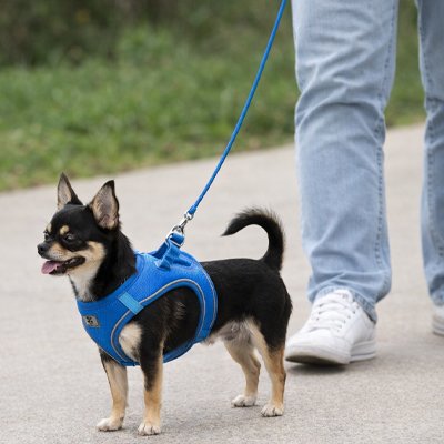 Harnais chiot leger