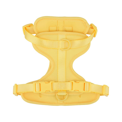 harnais chiot puppyfit en jaune