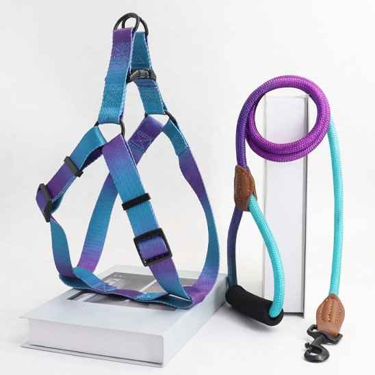 harnais de poitrine pour chien avec laisse multicolor bleu et violet