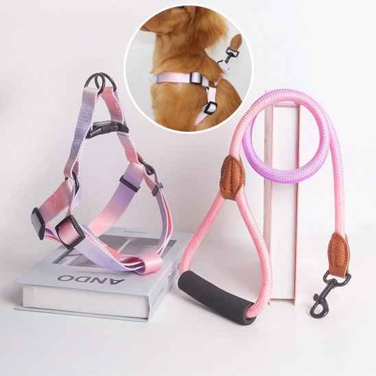 harnais de poitrine pour chien avec laisse multicolor mauve et rose