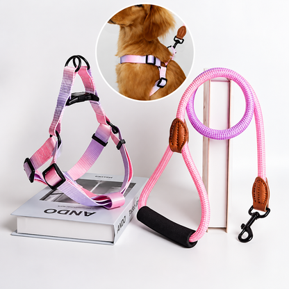 harnais de poitrine pour chien avec laisse multicolor mauve et rose