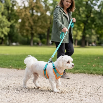 harnais double attache chien au parc sereinement