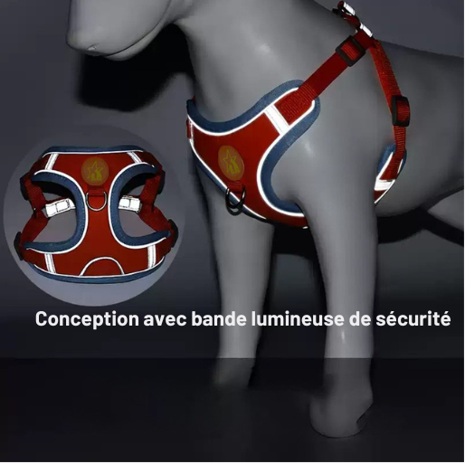 harnais double attache chien bande reflechissante