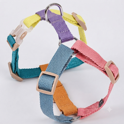 harnais en H pour chien multicolores rose et bleu