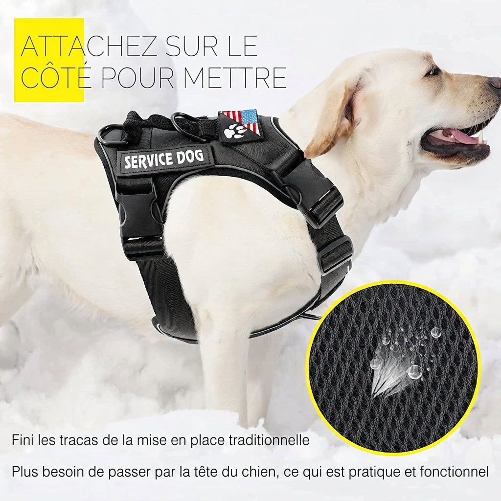 harnais et laisse pour chien tissu respirant