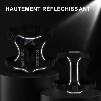 harnais et laisse pour chien bande reflechissante 