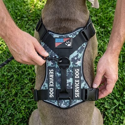 Harnais et laisse pour chien en couleur vert armé