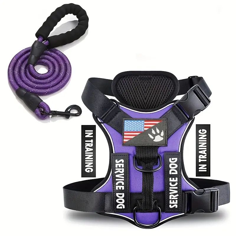 harnais et laisse pour chien en violet