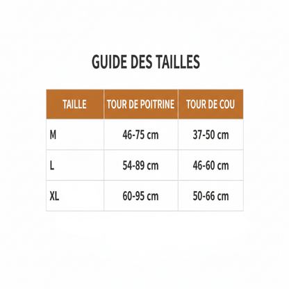 harnais et laisse pour chien guide des tailles   