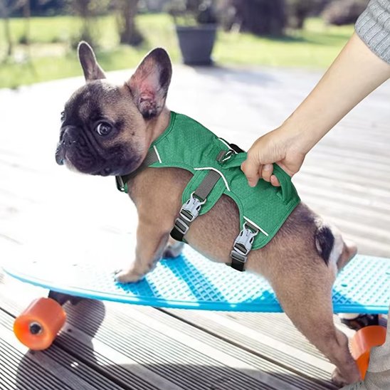 Harnais gilet pour chien avec poigne
