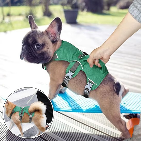 Harnais gilet pour chien en nylon avec poignée de support de levage