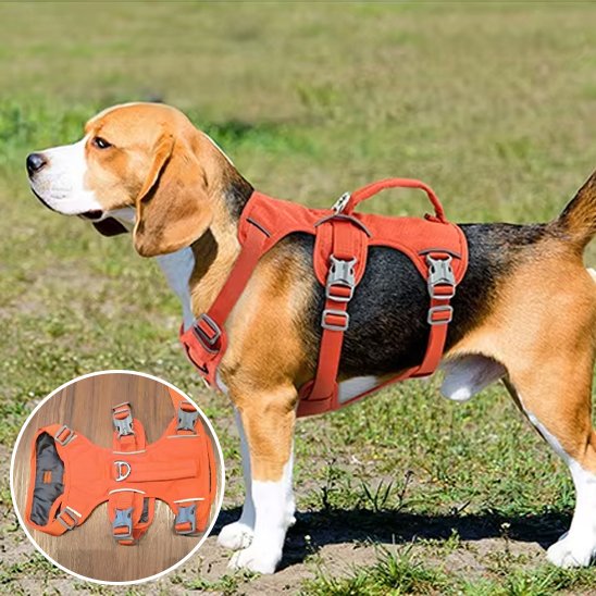 Harnais gilet pour chien orange