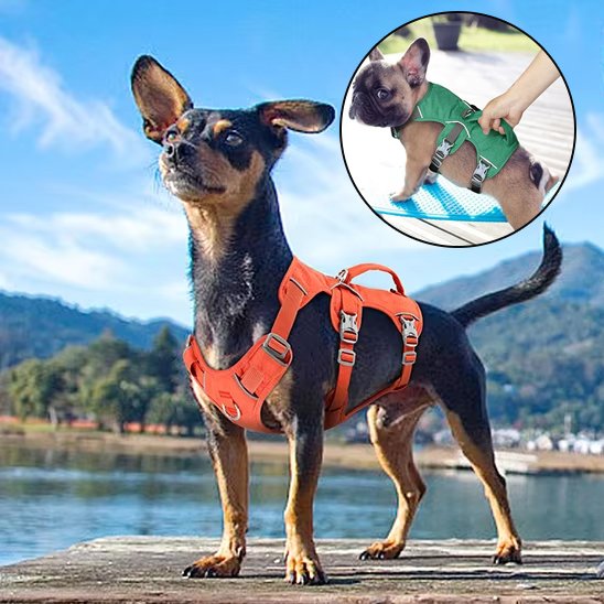 Harnais gilet pour chien pour toutes morphologies