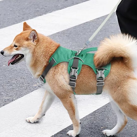 Harnais gilet pour chien solide