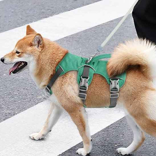 Harnais gilet pour chien | Confortable et Résistant