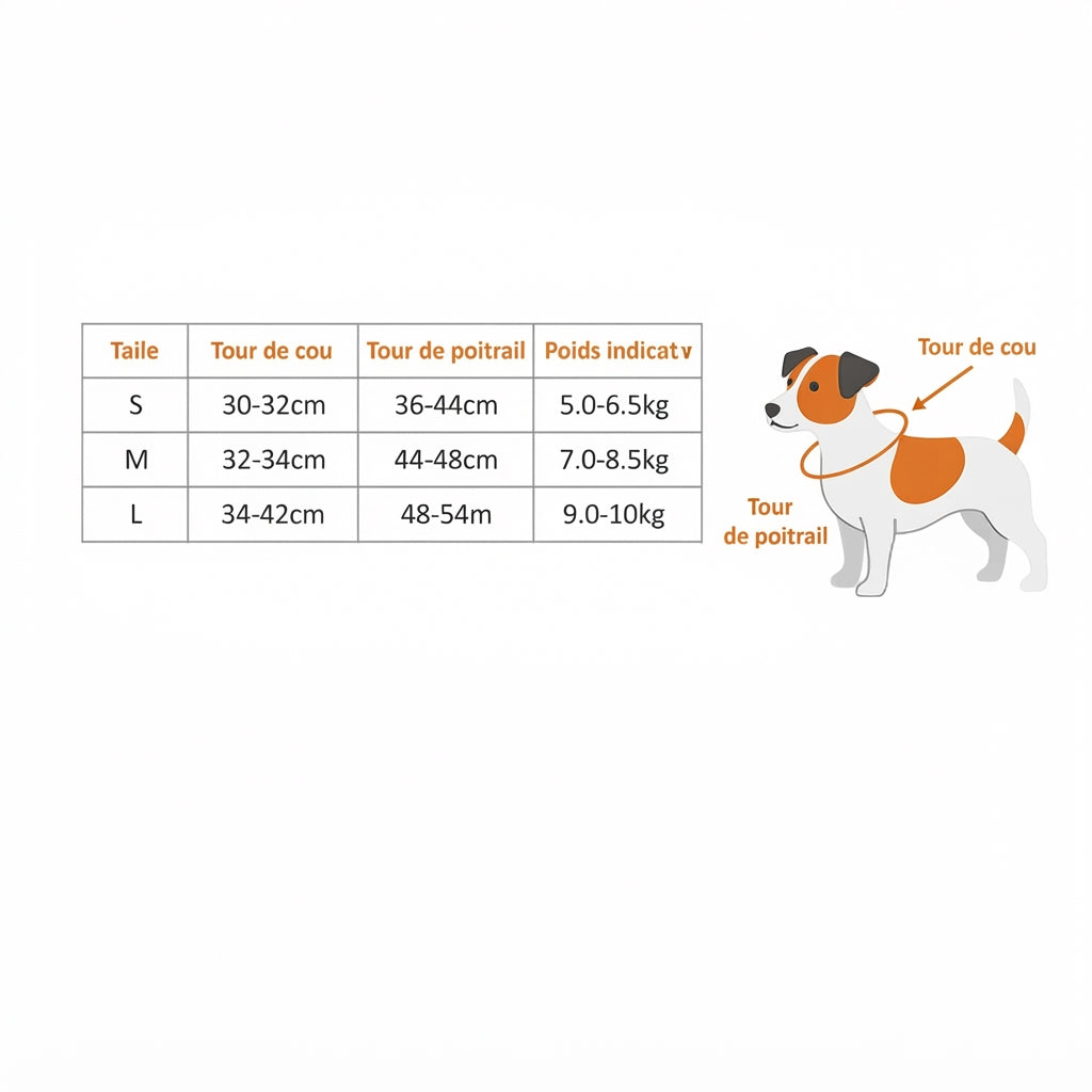 harnais petit chien SafePaw GUIDE TAILLE