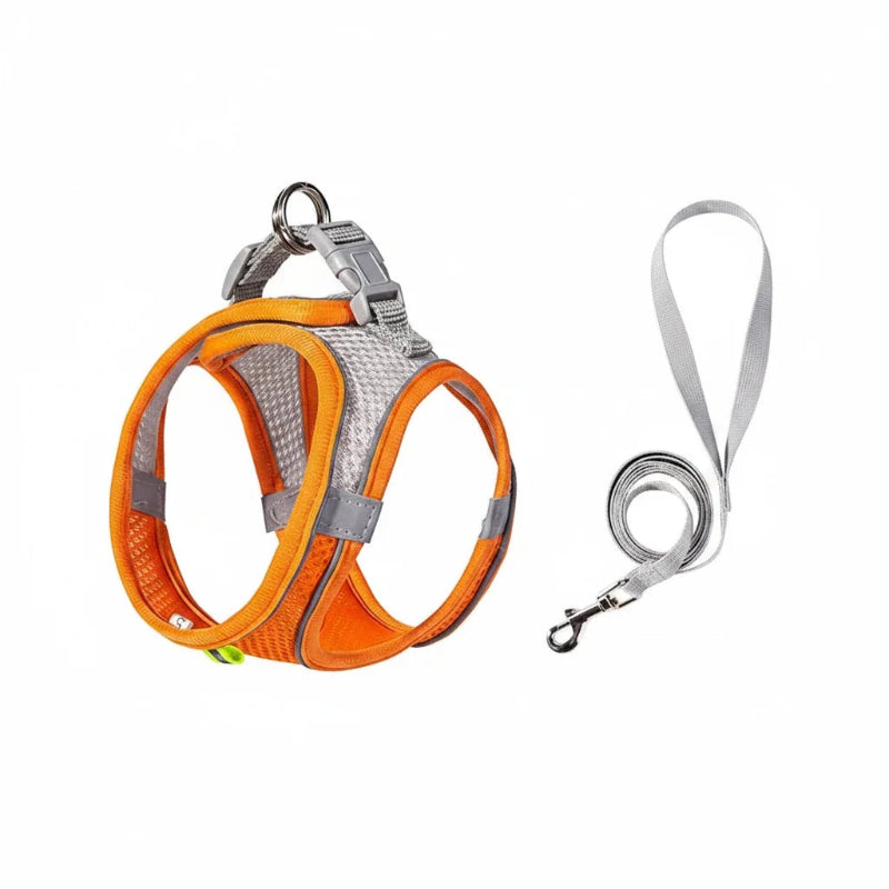 harnais petit chien  SafePaw en couleur orange