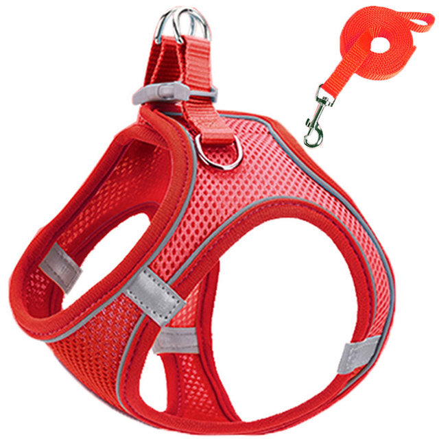 harnais petit chien SafePaw en rouge