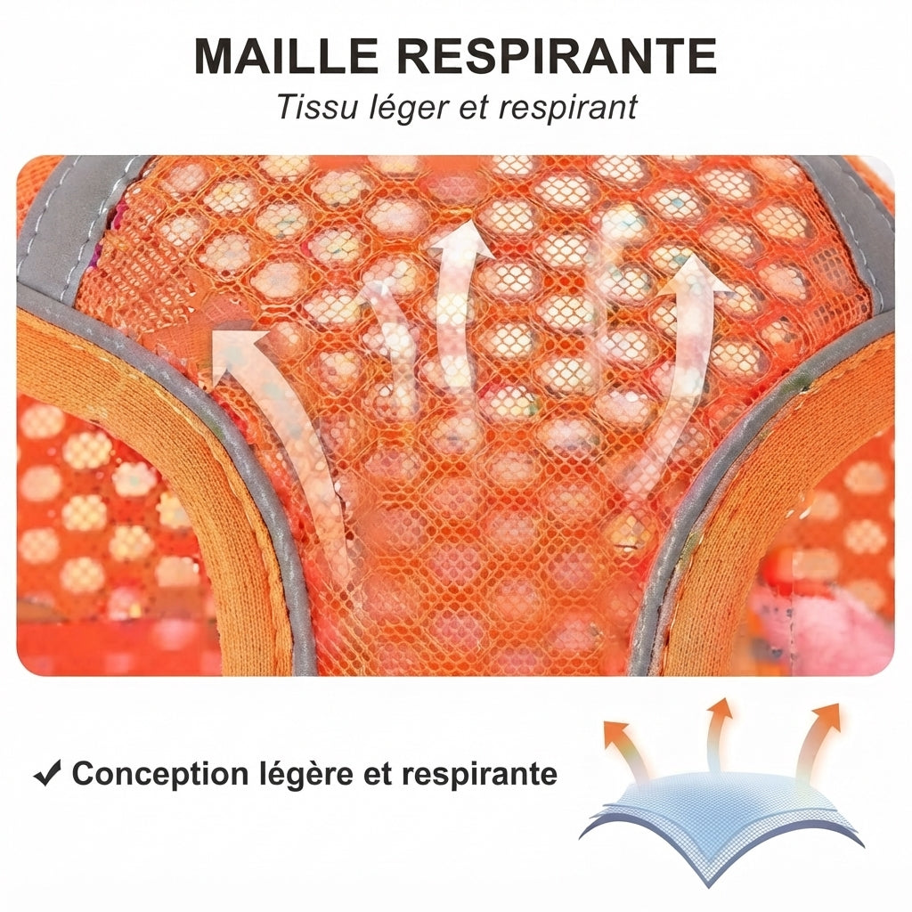 harnais petit chien SafePaw maille respirante legere