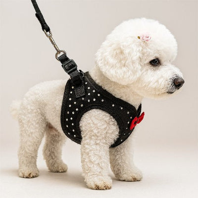 Harnais petit chien confo
