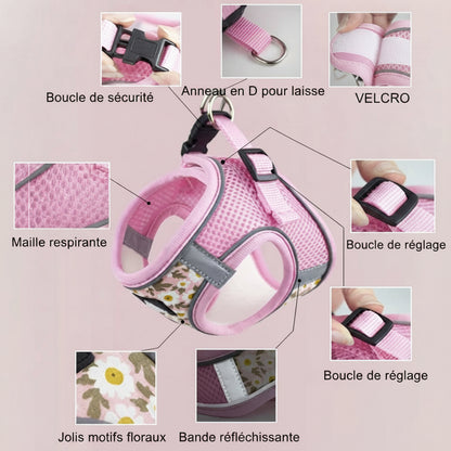 harnais petit chien minipaw détail boucle sécurité anneau d maille respirante réfléchissant ajustab