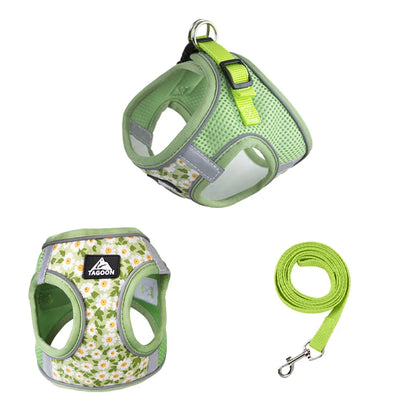 Harnais petit chien | MiniPaw™